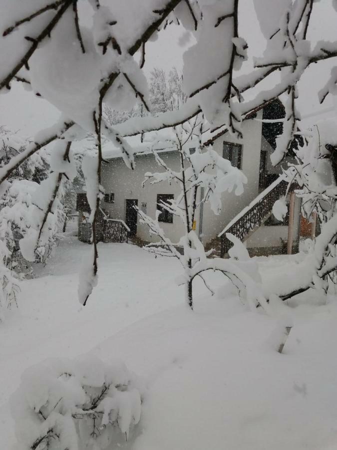 Apartment Manda Rakovica Exterior foto